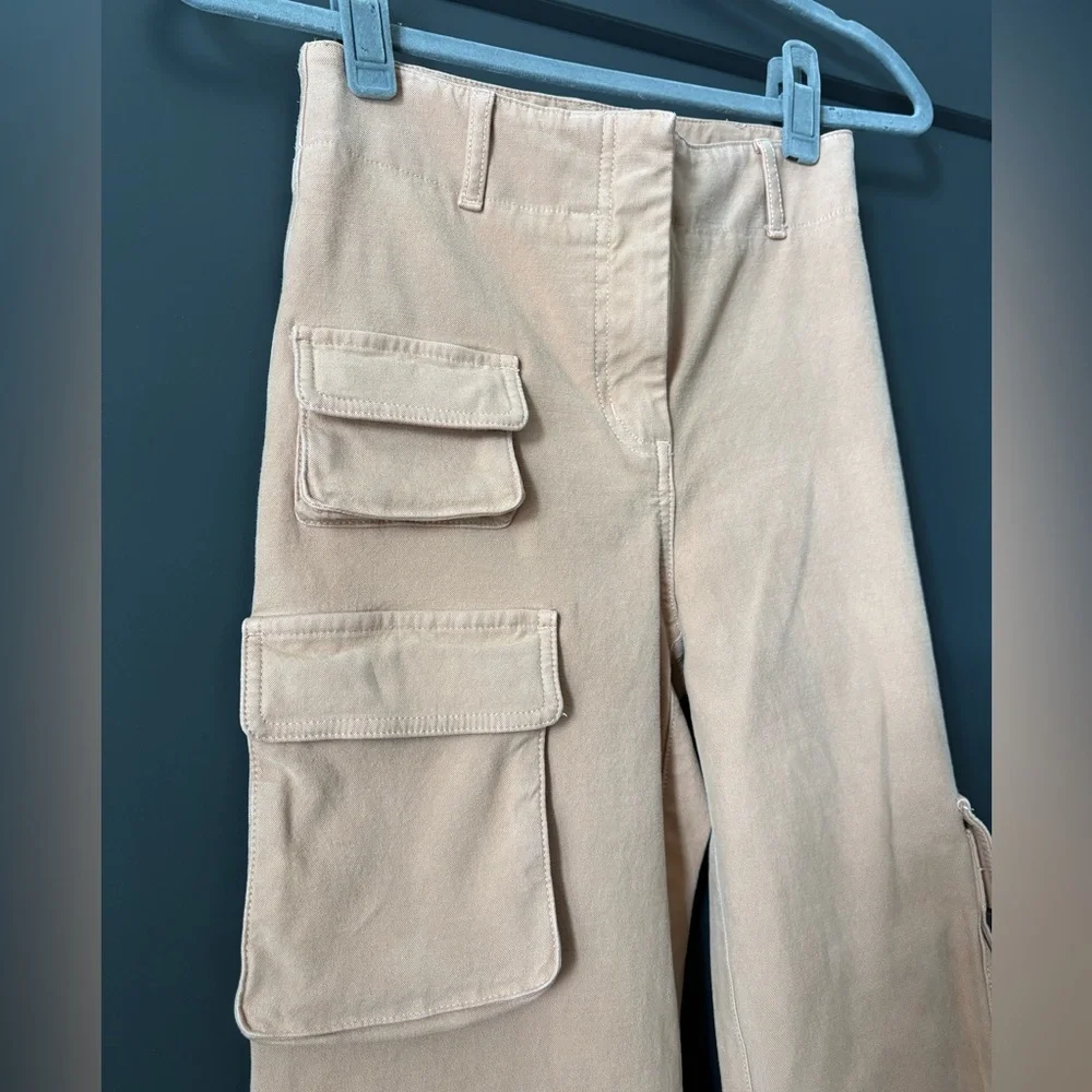 Aritzia Wilfred Free Picture Cargo Pants